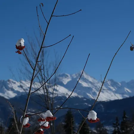 Spacieux De 4,5 Pieces Avec Vue Sur Les Alpes Appartement *