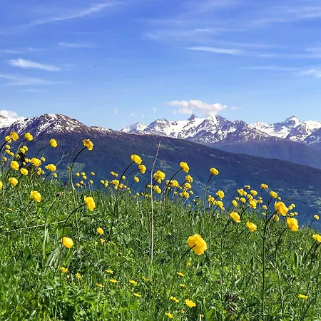 Spacieux De 4,5 Pieces Avec Vue Sur Les Alpes Appartement