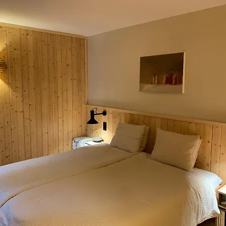 Appartement Spacieux De 4,5 Pieces Avec Vue Sur Les Alpes