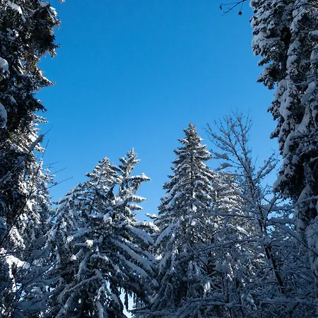 Spacieux De 4,5 Pieces Avec Vue Sur Les Alpes Daire Crans-Montana